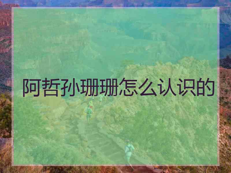 阿哲孙珊珊怎么认识的