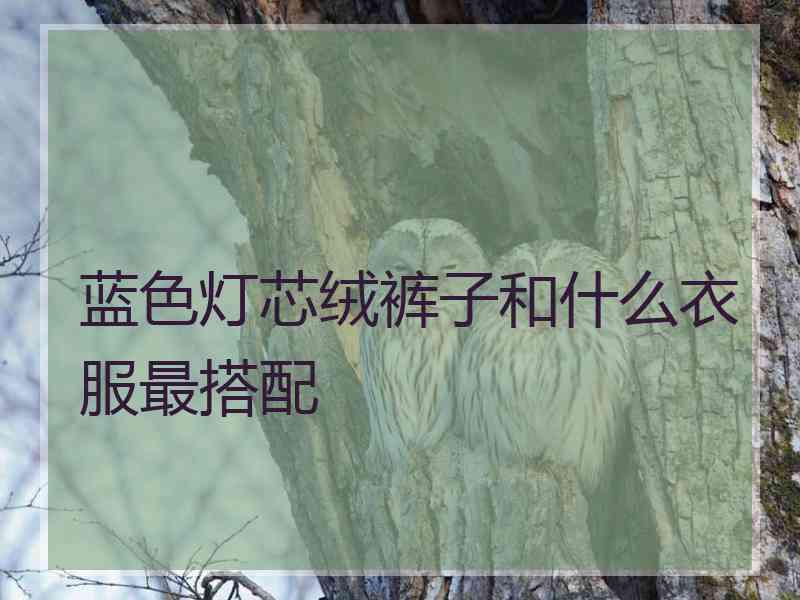 蓝色灯芯绒裤子和什么衣服最搭配