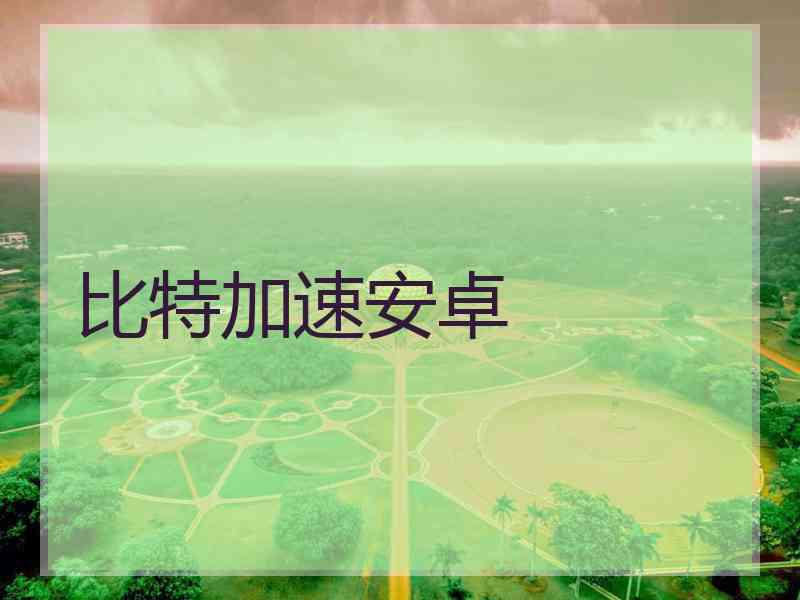 比特加速安卓