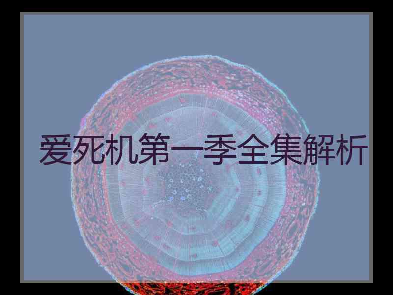 爱死机第一季全集解析
