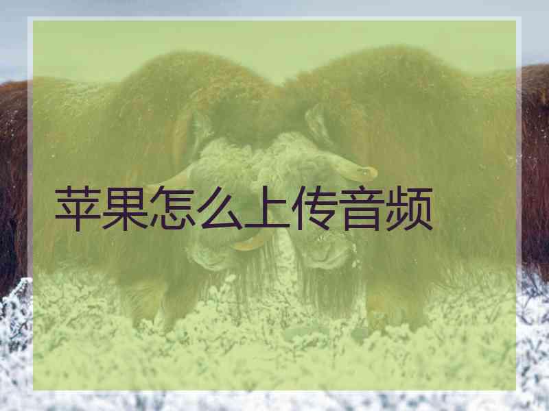 苹果怎么上传音频