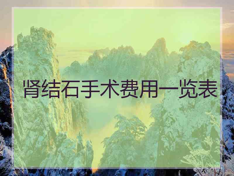 肾结石手术费用一览表