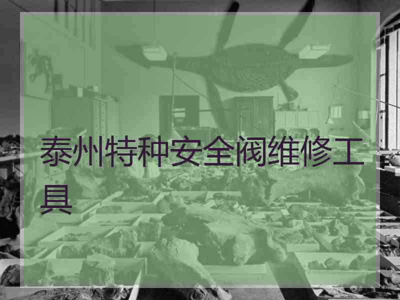 泰州特种安全阀维修工具
