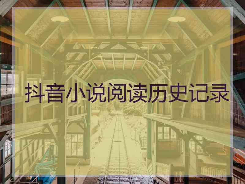 抖音小说阅读历史记录