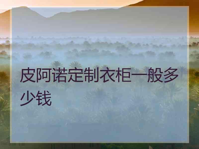 皮阿诺定制衣柜一般多少钱