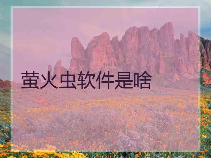萤火虫软件是啥