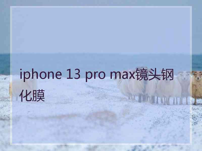 iphone 13 pro max镜头钢化膜