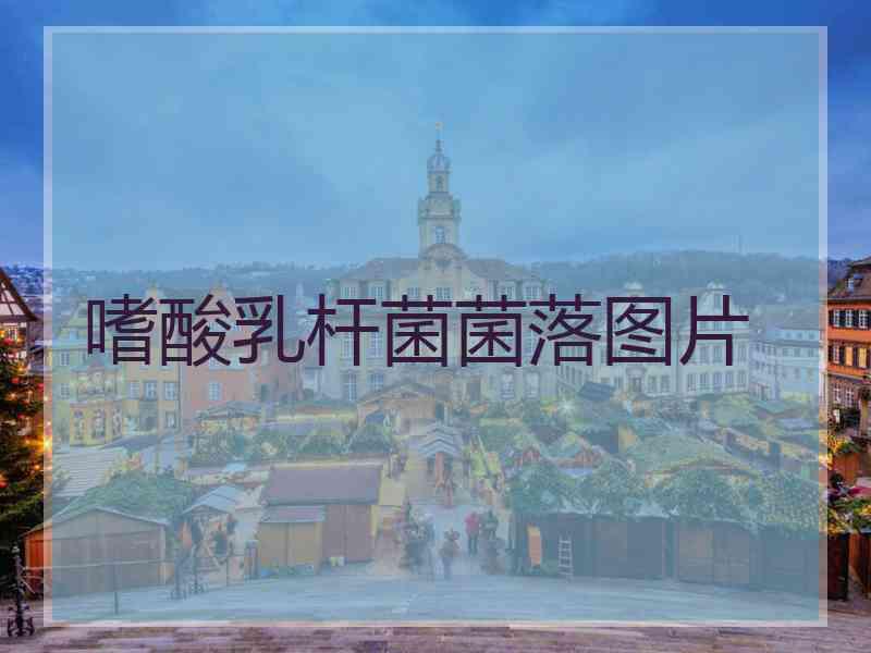 嗜酸乳杆菌菌落图片