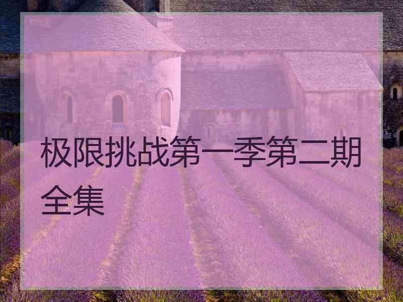 极限挑战第一季第二期全集