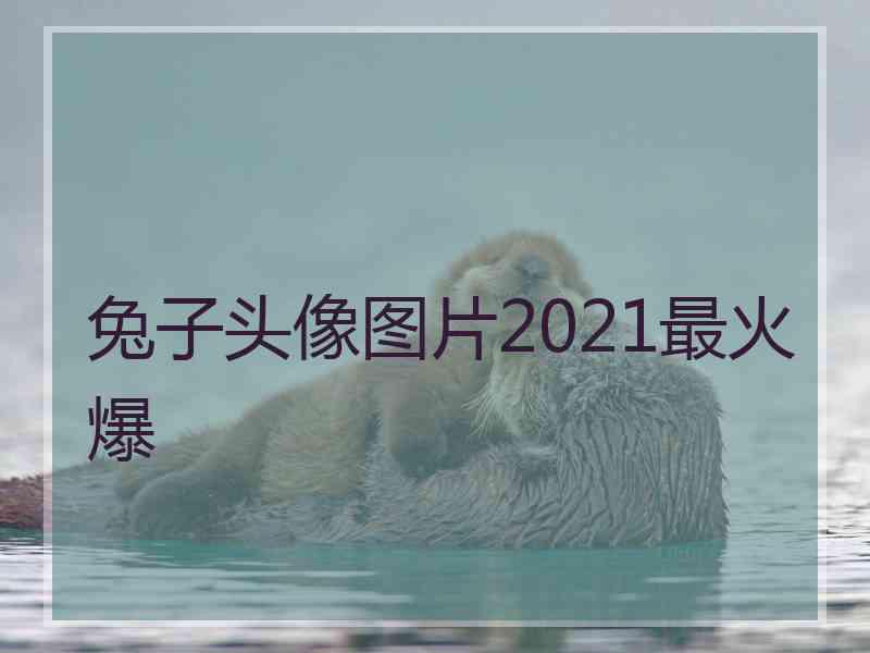 兔子头像图片2021最火爆