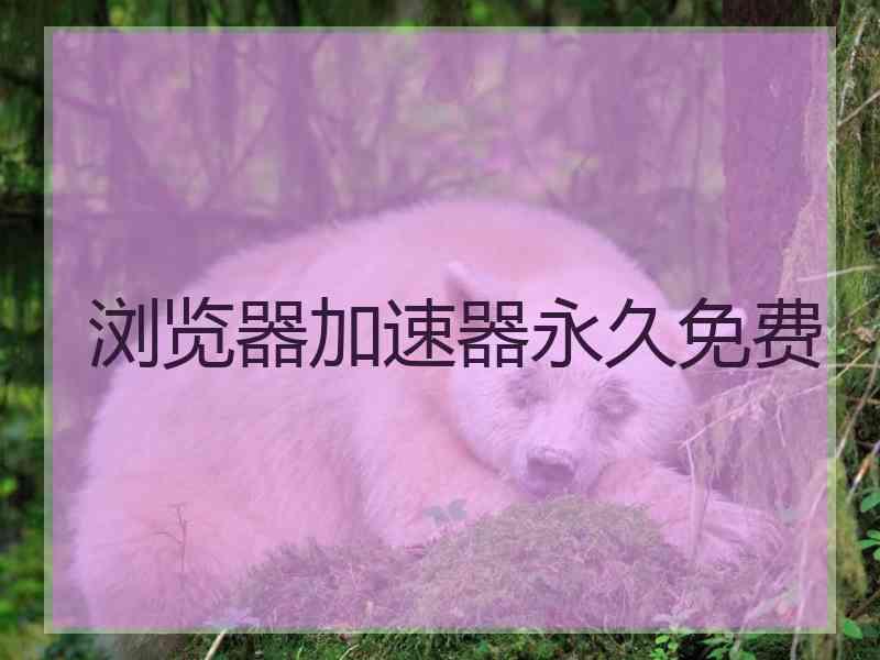 浏览器加速器永久免费