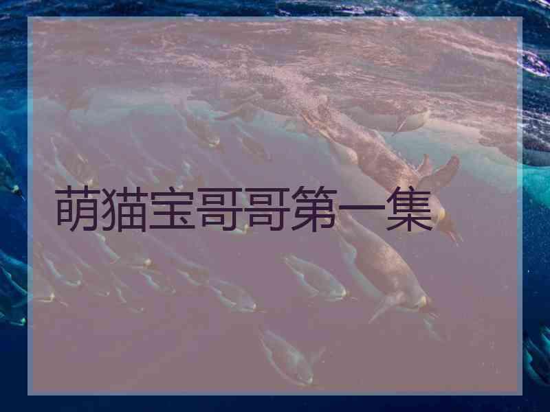 萌猫宝哥哥第一集