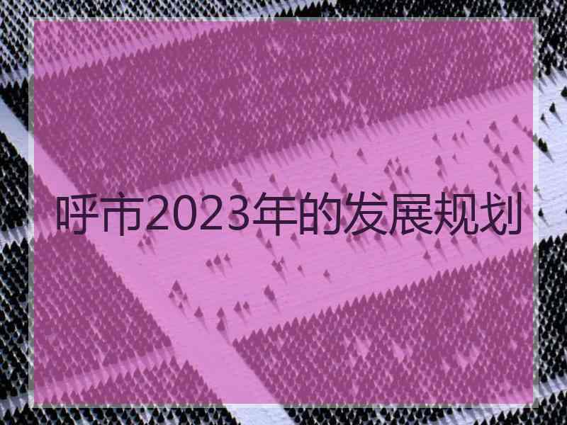 呼市2023年的发展规划