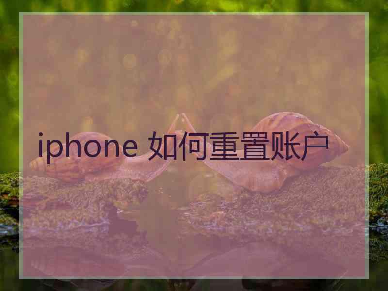 iphone 如何重置账户