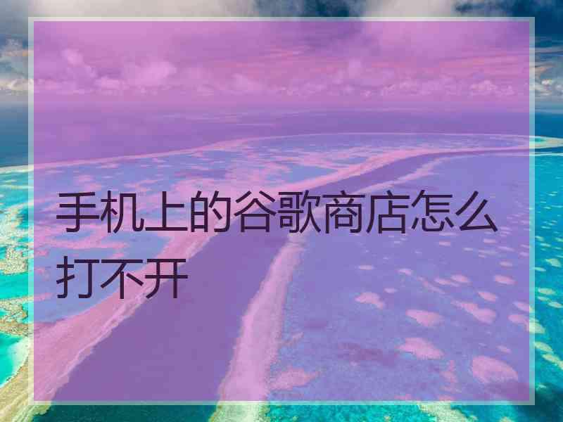 手机上的谷歌商店怎么打不开