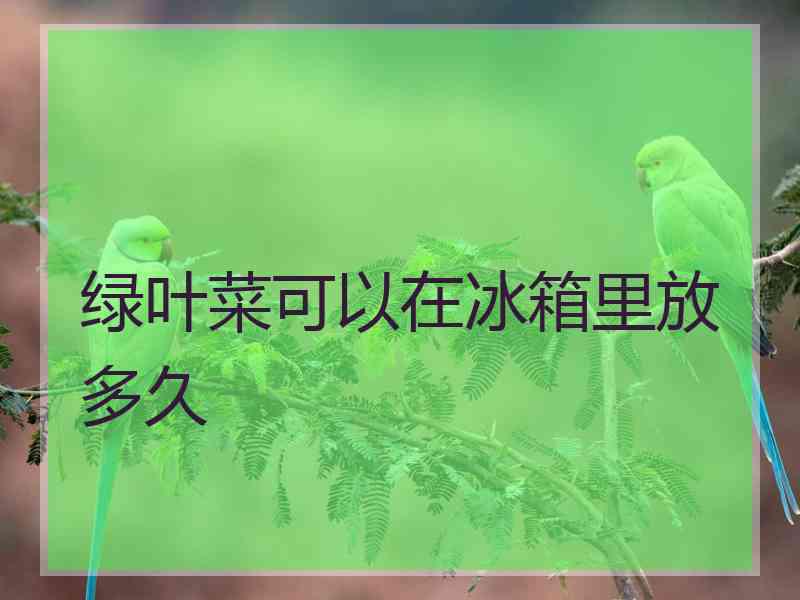 绿叶菜可以在冰箱里放多久