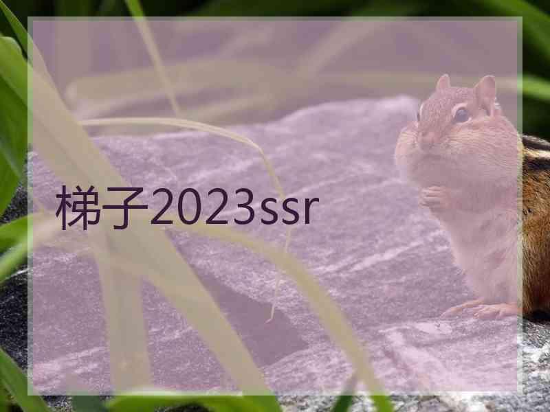 梯子2023ssr