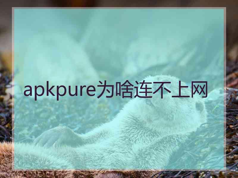 apkpure为啥连不上网