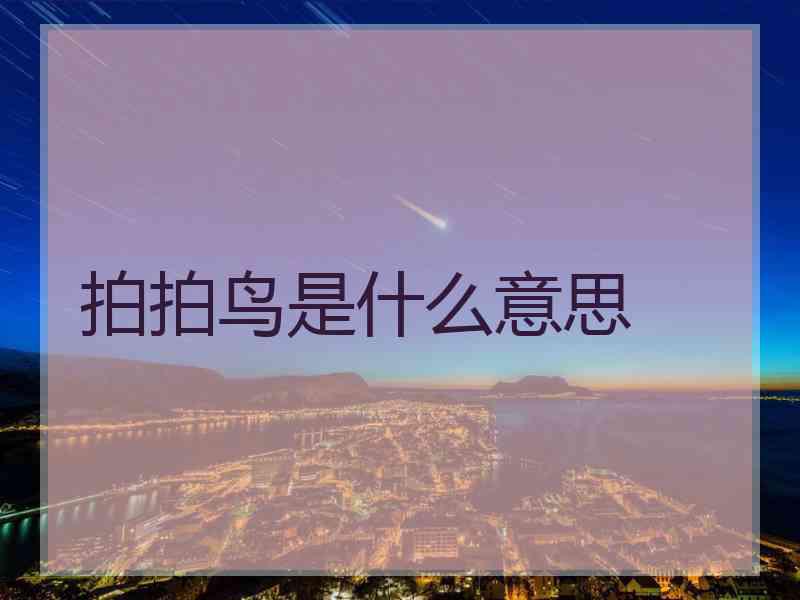 拍拍鸟是什么意思