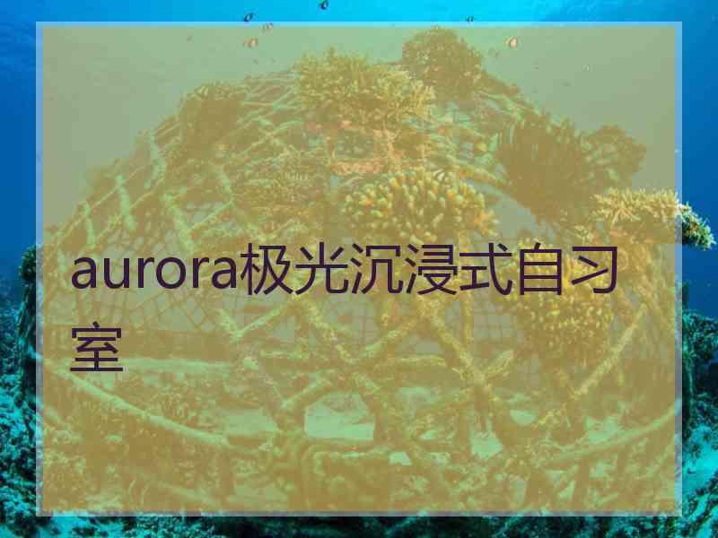 aurora极光沉浸式自习室