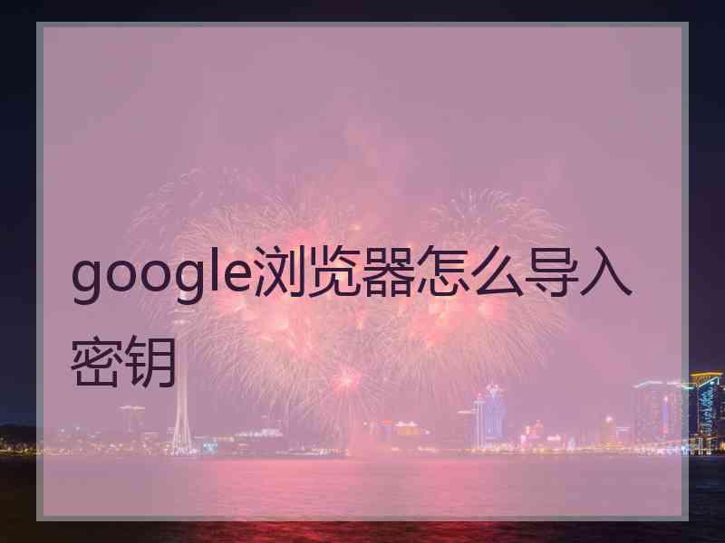 google浏览器怎么导入密钥