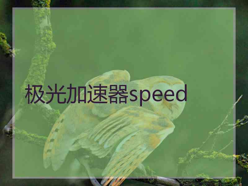 极光加速器speed
