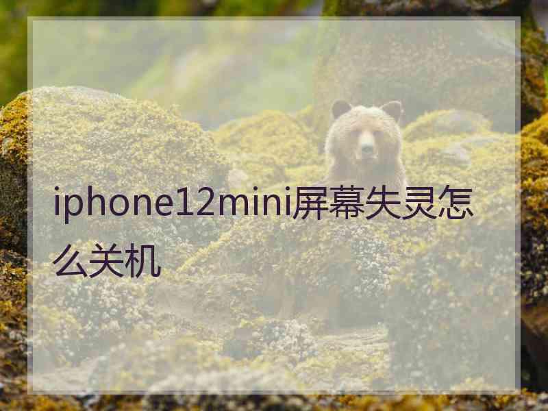 iphone12mini屏幕失灵怎么关机