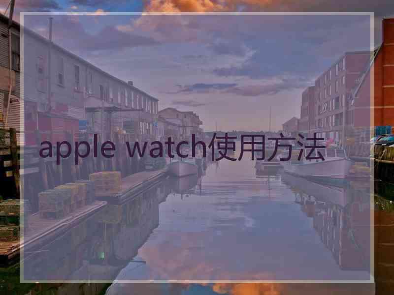 apple watch使用方法