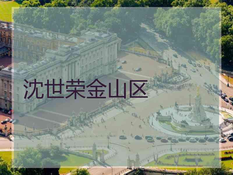 沈世荣金山区