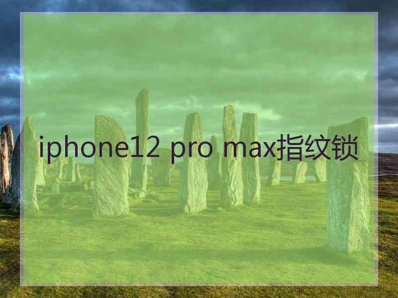 iphone12 pro max指纹锁