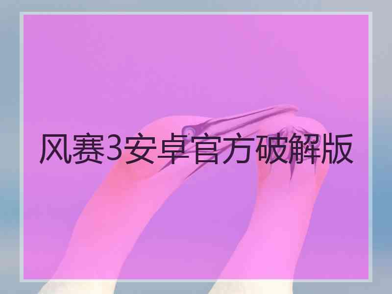 风赛3安卓官方破解版