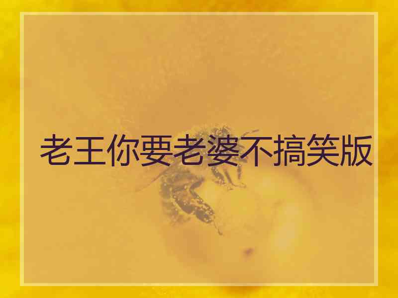 老王你要老婆不搞笑版