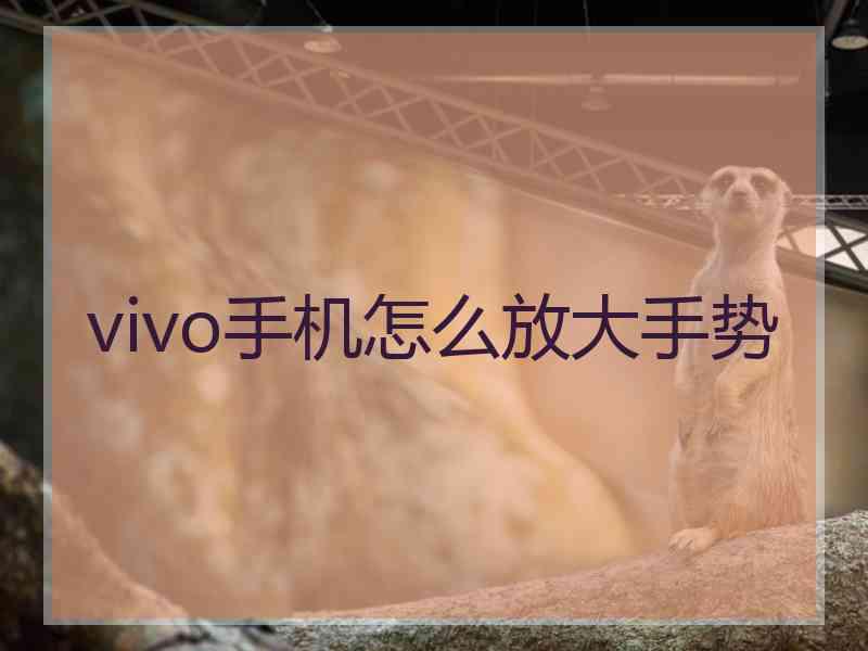 vivo手机怎么放大手势