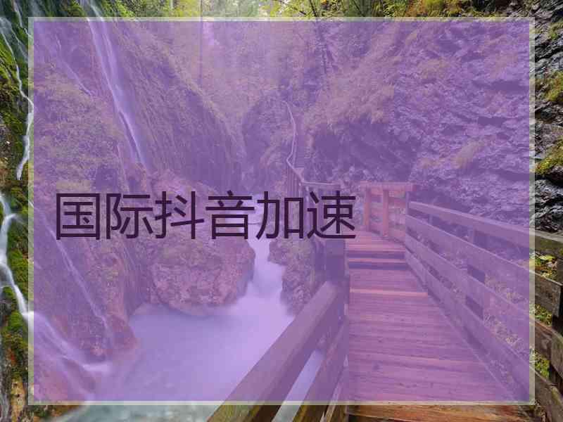 国际抖音加速