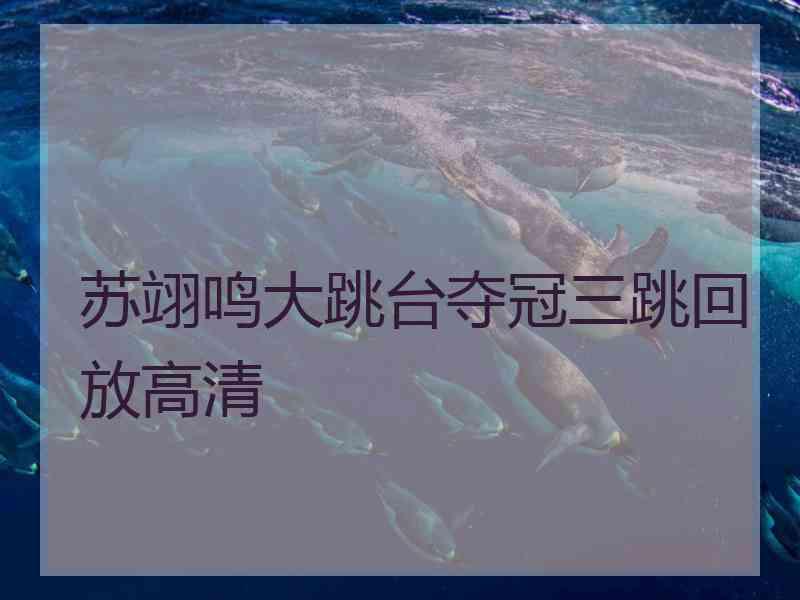 苏翊鸣大跳台夺冠三跳回放高清