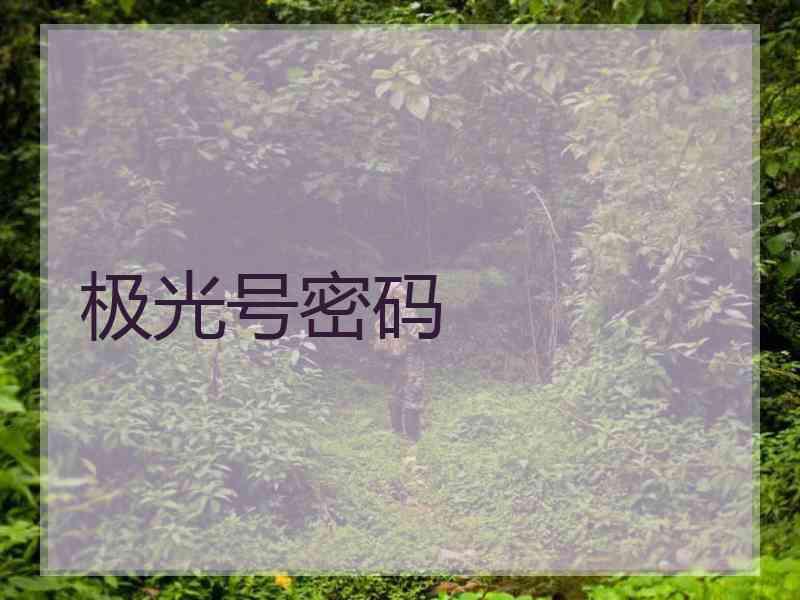 极光号密码