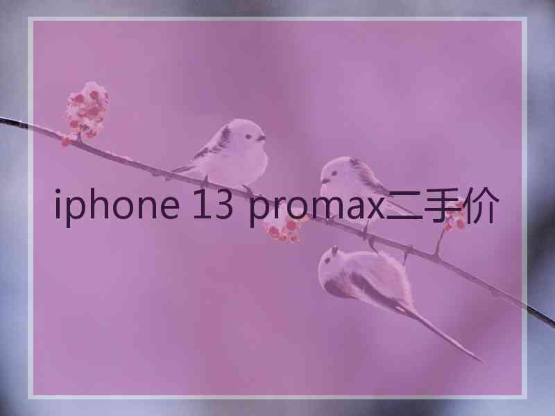 iphone 13 promax二手价