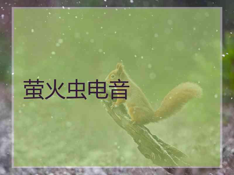 萤火虫电音