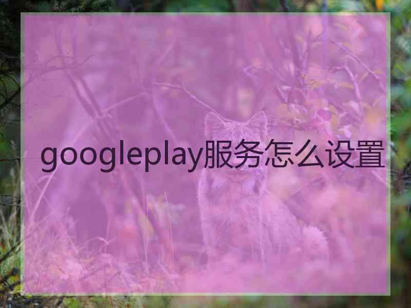 googleplay服务怎么设置