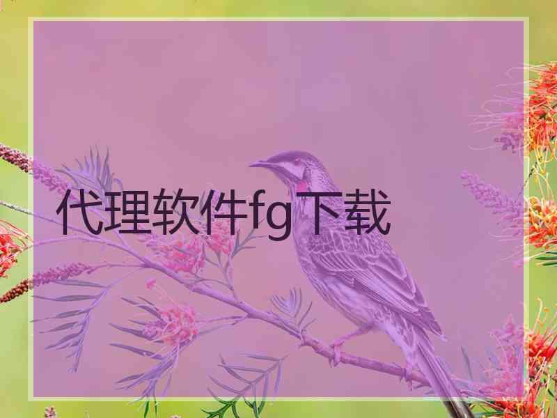 代理软件fg下载