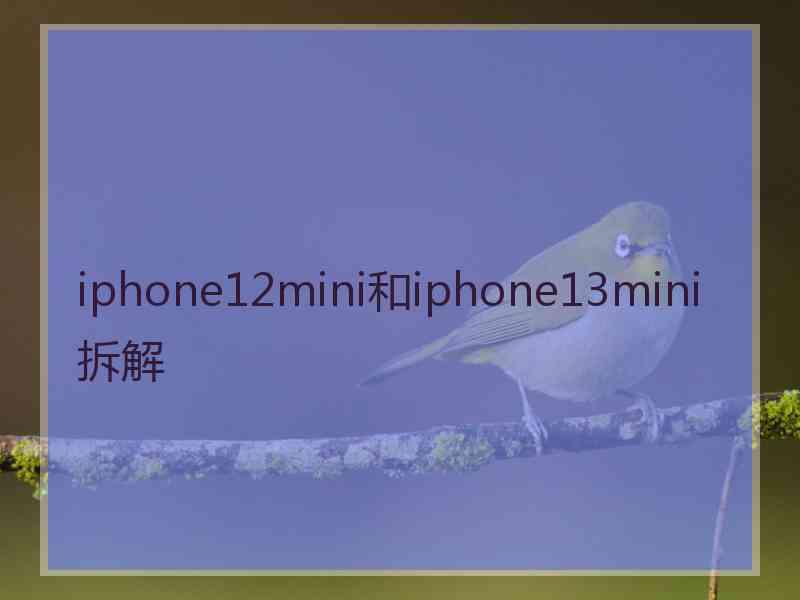 iphone12mini和iphone13mini拆解