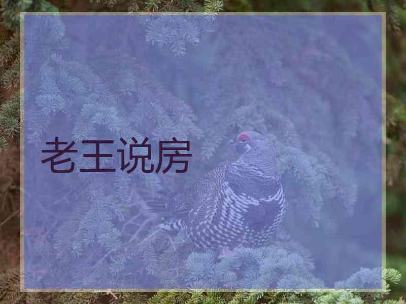 老王说房