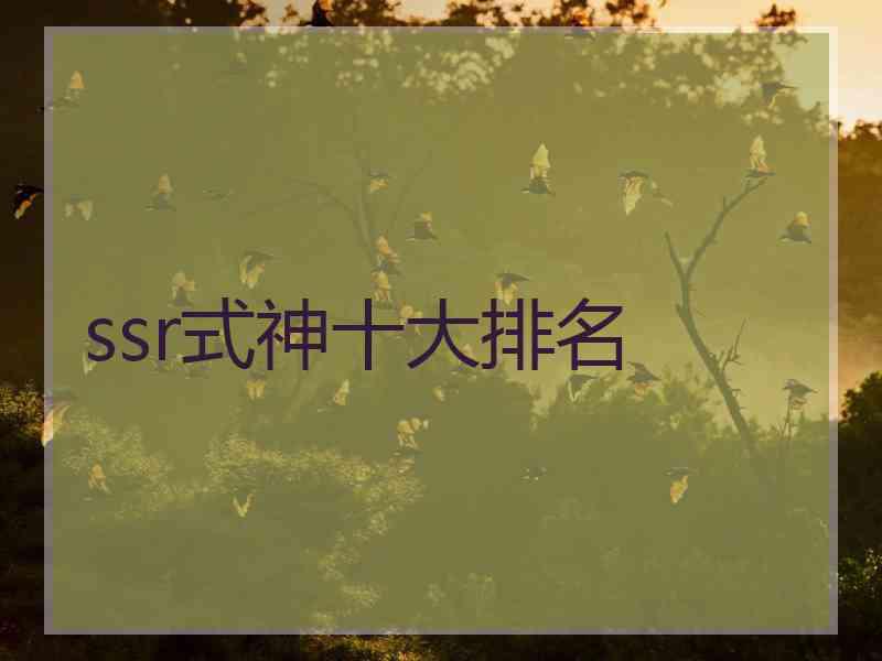 ssr式神十大排名