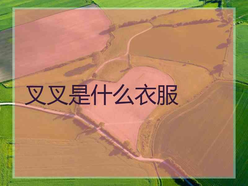 叉叉是什么衣服