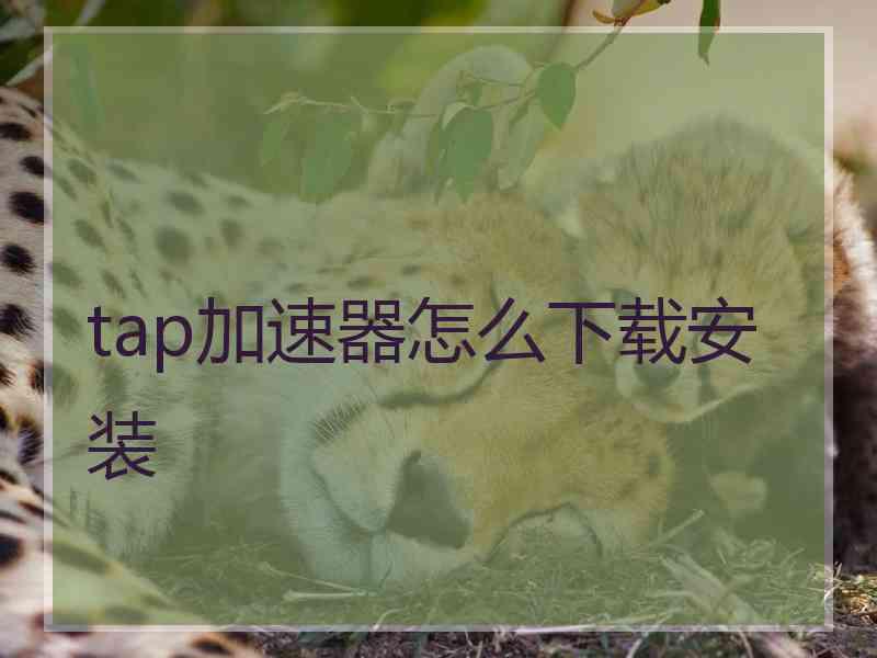 tap加速器怎么下载安装