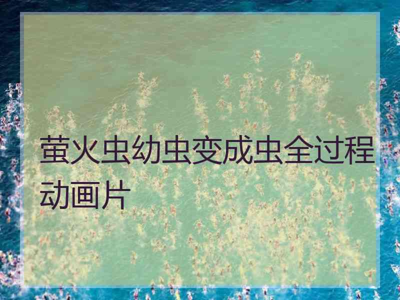 萤火虫幼虫变成虫全过程动画片