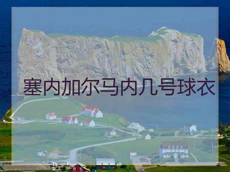 塞内加尔马内几号球衣