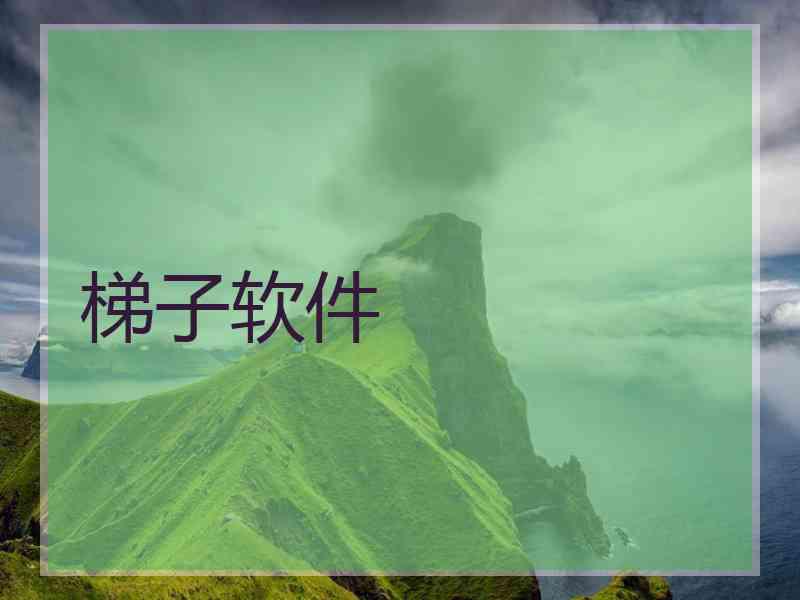 梯子软件