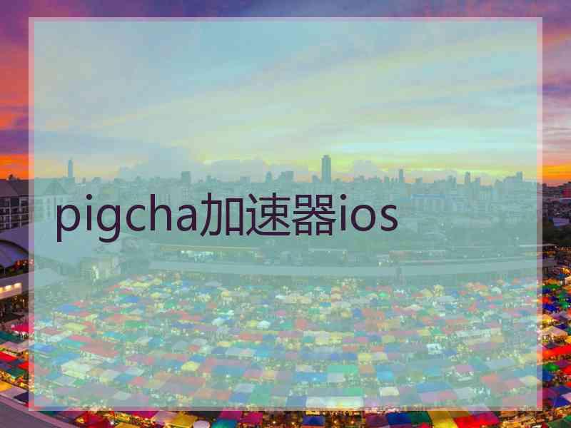 pigcha加速器ios