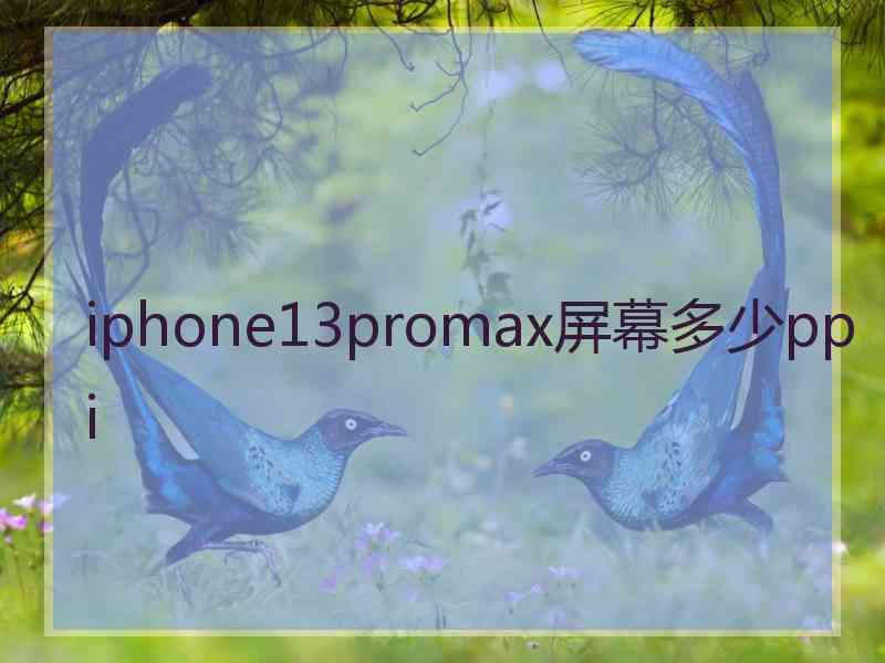 iphone13promax屏幕多少ppi